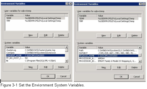 ibm-ds8000-cim-set-the-enviornment-system-variables