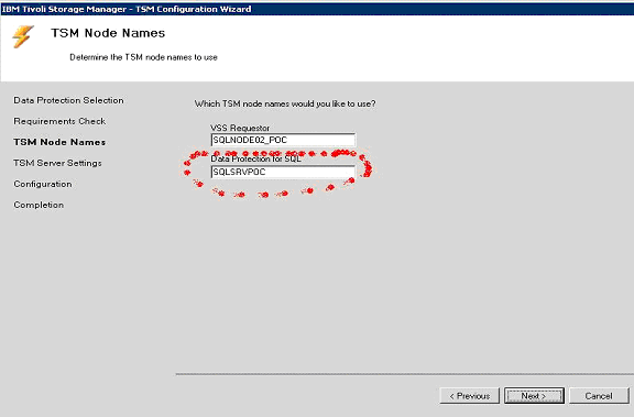 ibm-tivoli-tsm-ibm-tivoli-tdp-node-names